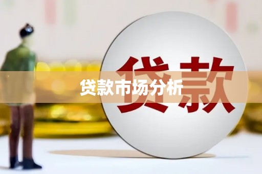 禄丰贷款市场分析