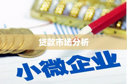 拉孜贷款市场分析