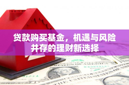 海兴贷款购买基金，机遇与风险并存的理财新选择