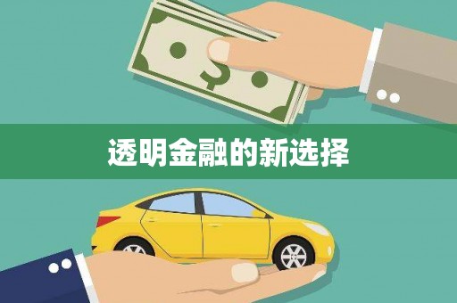 漠河透明金融的新选择