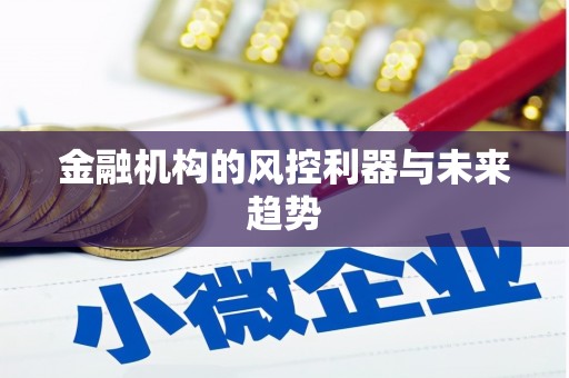 阜宁金融机构的风控利器与未来趋势