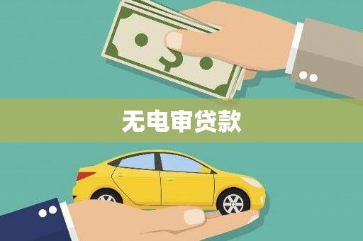 嵩县无电审贷款