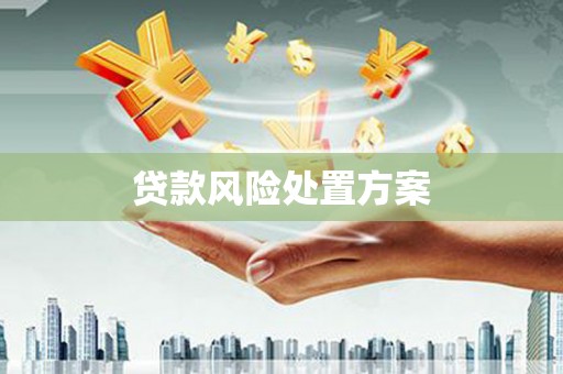 叶县贷款风险处置方案
