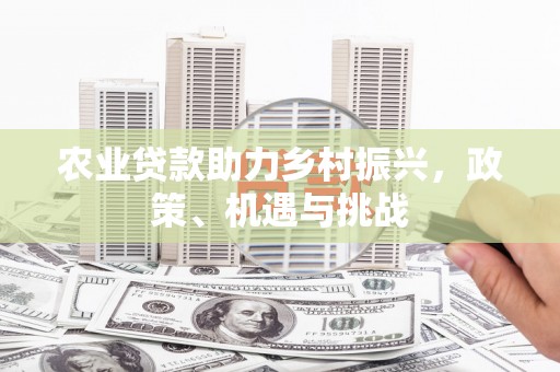 东明农业贷款助力乡村振兴，政策、机遇与挑战
