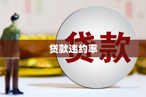 浮梁贷款违约率