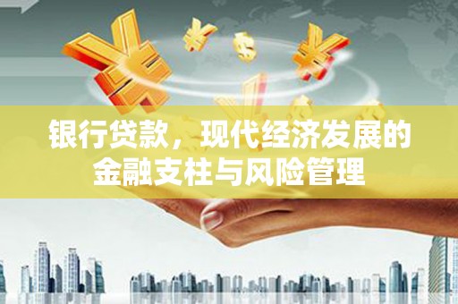 武进银行贷款，现代经济发展的金融支柱与风险管理