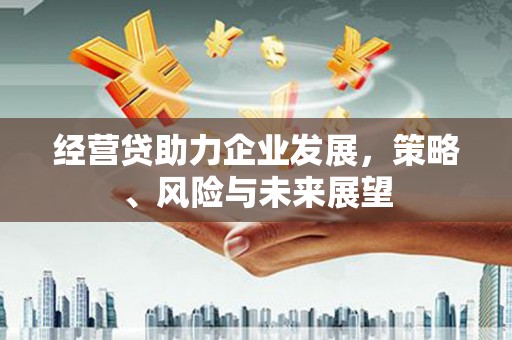 乐亭经营贷助力企业发展，策略、风险与未来展望