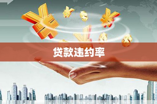 柳东贷款违约率
