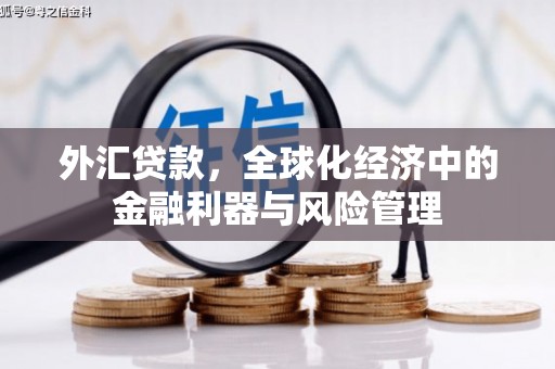 卓尼外汇贷款，全球化经济中的金融利器与风险管理