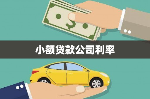 巴里坤小额贷款公司利率