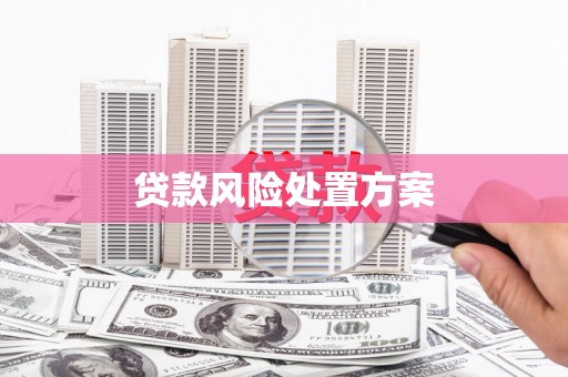 宁武贷款风险处置方案