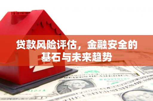 岳西贷款风险评估，金融安全的基石与未来趋势