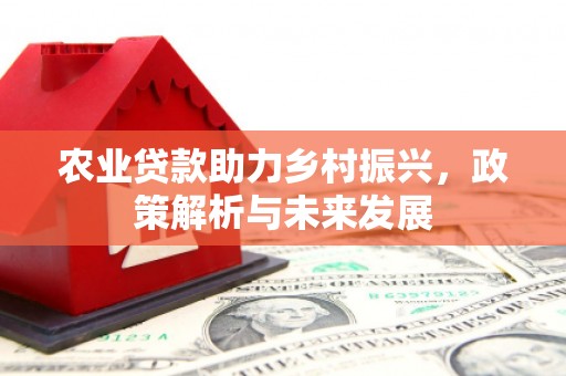 上甘岭农业贷款助力乡村振兴，政策解析与未来发展
