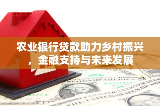 玉山农业银行贷款助力乡村振兴，金融支持与未来发展