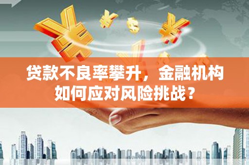 桃江贷款不良率攀升，金融机构如何应对风险挑战？