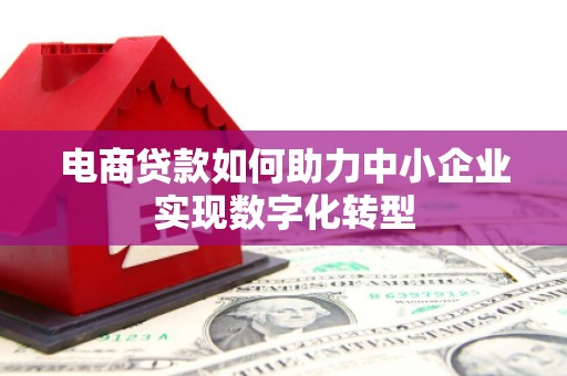 金阳电商贷款如何助力中小企业实现数字化转型