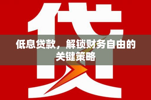 龙江低息贷款，解锁财务自由的关键策略