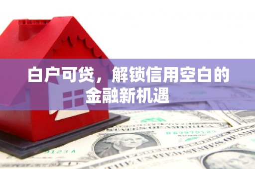 德钦白户可贷，解锁信用空白的金融新机遇