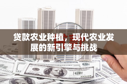 芦洲贷款农业种植，现代农业发展的新引擎与挑战