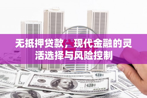 武江无抵押贷款，现代金融的灵活选择与风险控制