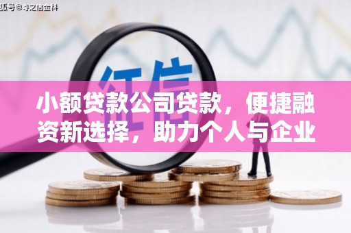 河池小额贷款公司贷款，便捷融资新选择，助力个人与企业成长