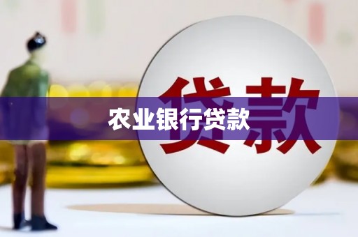 虎林农业银行贷款