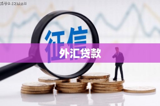 茄子河外汇贷款