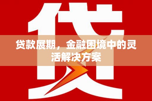 分宜贷款展期，金融困境中的灵活解决方案