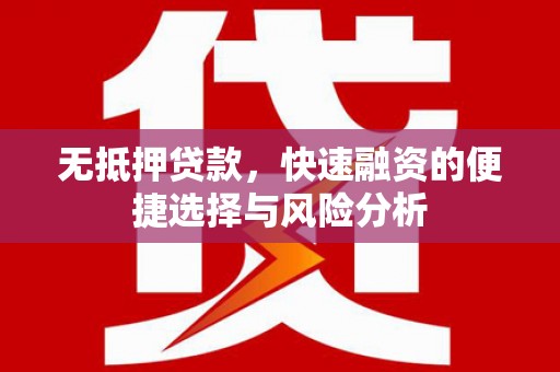 德宏无抵押贷款，快速融资的便捷选择与风险分析