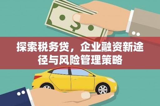 沈丘探索税务贷，企业融资新途径与风险管理策略