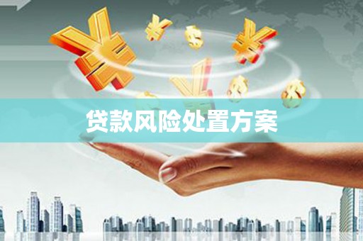 长安贷款风险处置方案