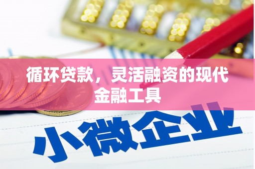 项城循环贷款，灵活融资的现代金融工具
