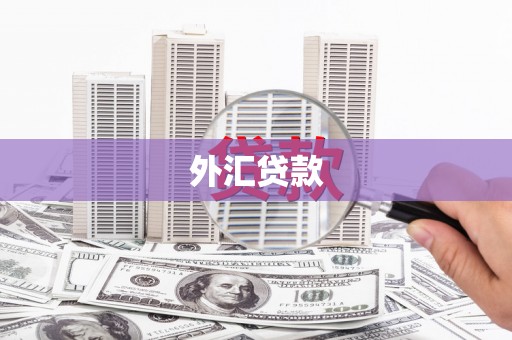 庄浪外汇贷款