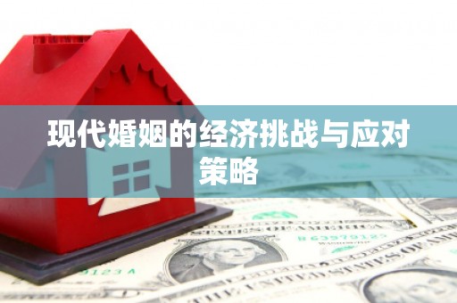 大社现代婚姻的经济挑战与应对策略