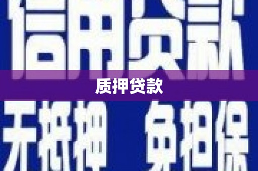 黑水质押贷款