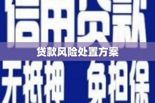 蓬江贷款风险处置方案