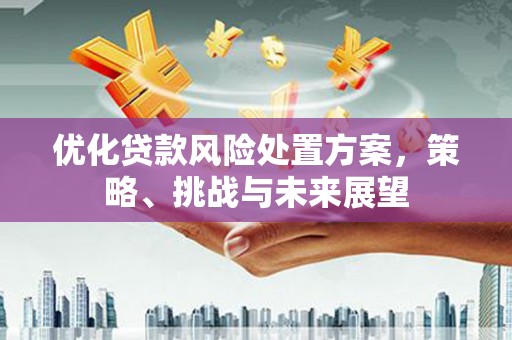 东乌旗优化贷款风险处置方案，策略、挑战与未来展望