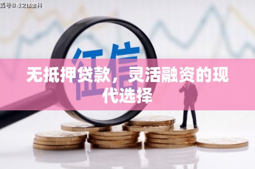琼中无抵押贷款，灵活融资的现代选择