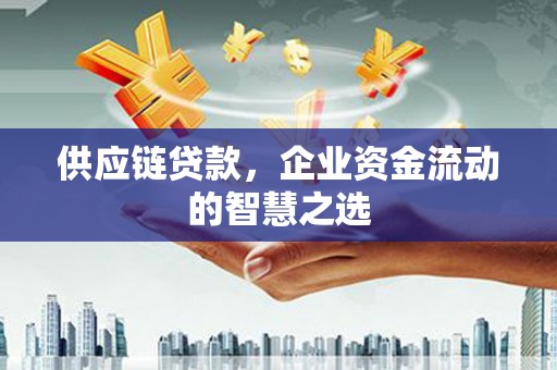 沈北新区供应链贷款，企业资金流动的智慧之选