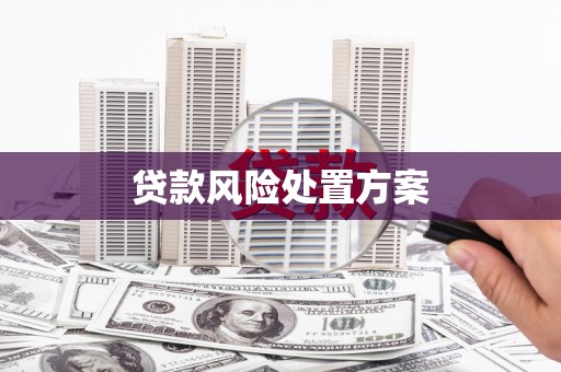 文昌贷款风险处置方案