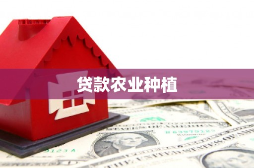 丰顺贷款农业种植