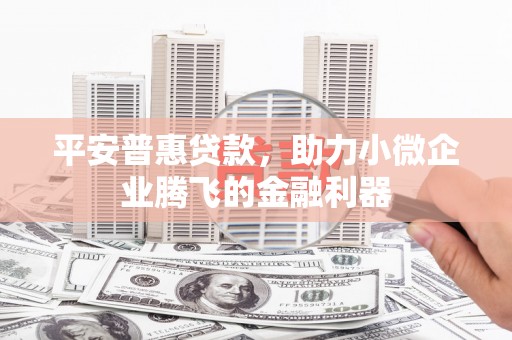 木垒平安普惠贷款，助力小微企业腾飞的金融利器