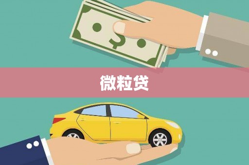 延安微粒贷