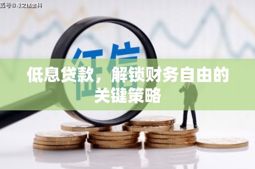 云林低息贷款，解锁财务自由的关键策略