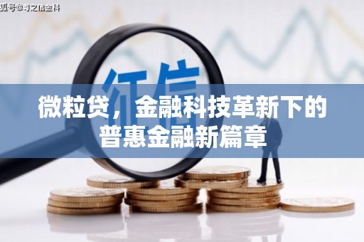 卧龙微粒贷，金融科技革新下的普惠金融新篇章