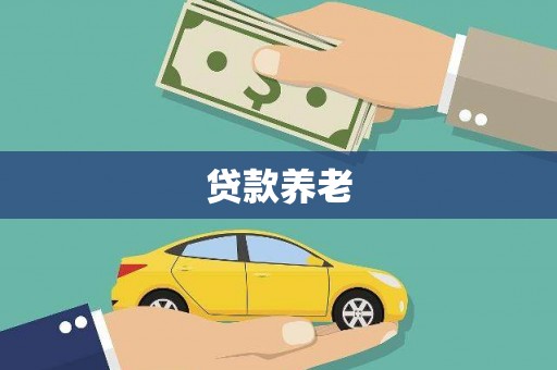 宝兴贷款养老