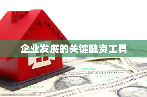 桓台企业发展的关键融资工具