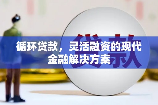 大武循环贷款，灵活融资的现代金融解决方案