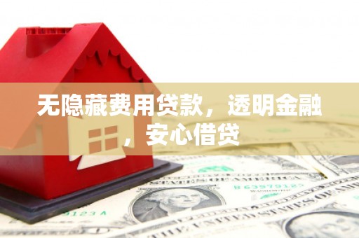 宁明无隐藏费用贷款，透明金融，安心借贷