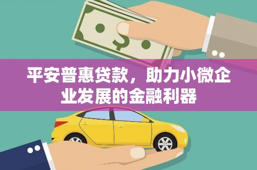 溪口平安普惠贷款，助力小微企业发展的金融利器